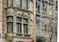 
                                	        36 E. 61st Street: 36 East 61st Street|Upper East Side
                                    